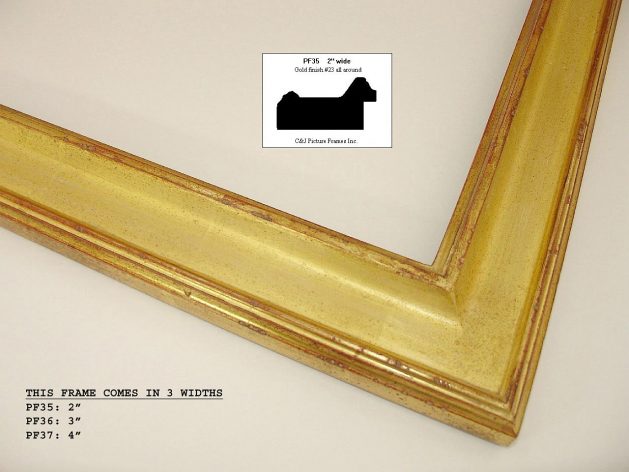 AMCI-Regence: CJFrames - Contemporary Frames - Gold Leaf - Black over Metal - Antique White - Ebony: PF35