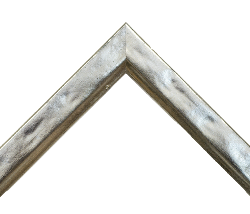 LL2833
